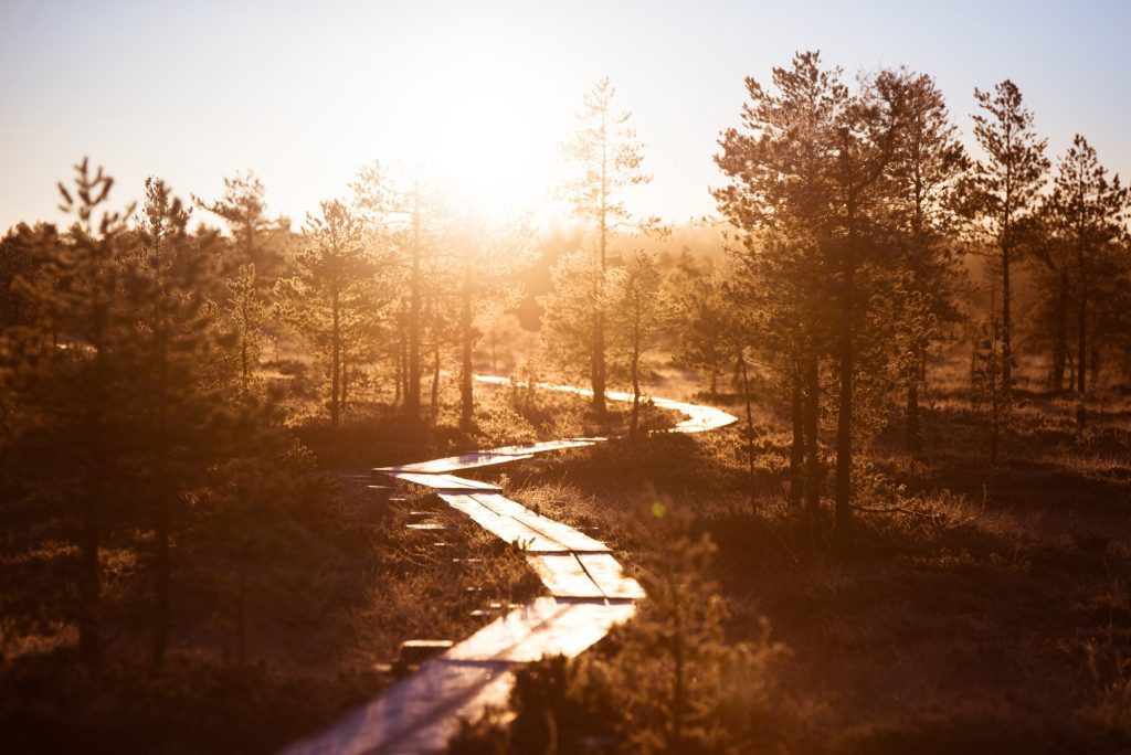 Aktiviteetit_Eerikkilä-luontokohteet